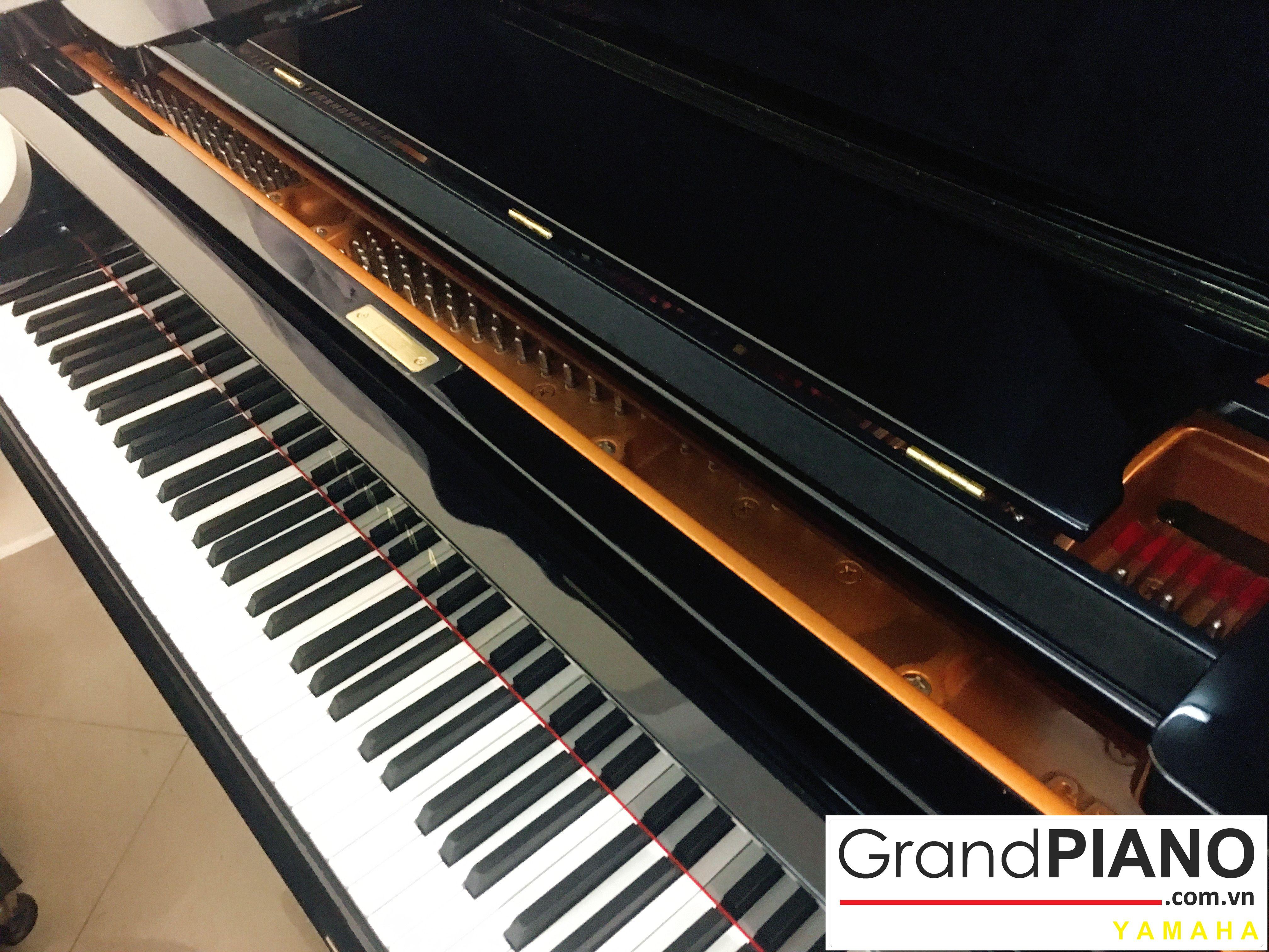 YAMAHA C5 SERI: 6223471 ✅ 